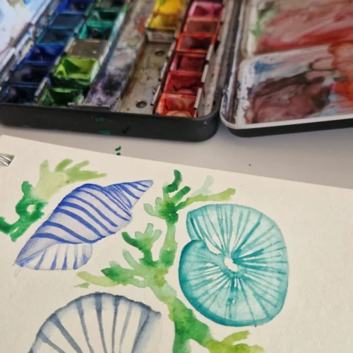 Atelier aquarelle débutant:  Coquillages et coraux- 07/10-18h30- Bien Public